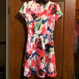 Multi colored Dess